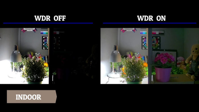 What is True WDR or WDR in Security Cameras?